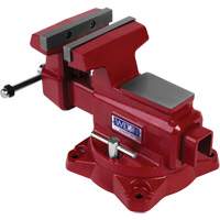 Utility HD Bench Vise, 6-1/2" Jaw Width, 4-1/4" Throat Depth Infinity Industrial Services Inc.