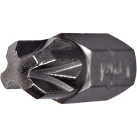 Insert Bit, Pozidriv, #2, 1/4" Drive Infinity Industrial Services Inc.