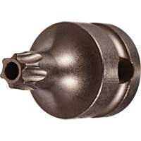 Socket Bit, Torx&reg; Tamper, 25 x 1" L, 3/8" Drive Infinity Industrial Services Inc.