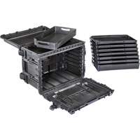 Gen 2 Mobile Tool Chest, 24" W, 6 Drawers, Black Infinity Industrial Services Inc.