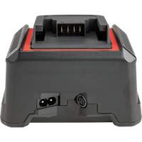 2.5 Ah & 5.0 Ah Battery Charger, 120 V, Lithium-Ion Infinity Industrial Services Inc.