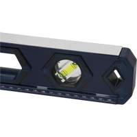 High-Accuracy Level, Box, 2' L, Aluminum, 3, Non-Magnetic Infinity Industrial Services Inc.