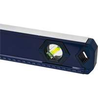 High-Accuracy Level, Box, 4' L, Aluminum, 3, Non-Magnetic Infinity Industrial Services Inc.