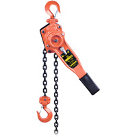 VLP Series Lever Chain Hoist, 10' Lift, 1653.46 lbs. (0.75 tons) Capacity Infinity Industrial Services Inc.