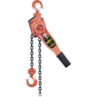 KLP-75-10 KLP Series Heavy-Duty Lever Chain Hoist, 10' Lift, 1500 lbs. (0.75 tons) Capacity Infinity Industrial Services Inc.