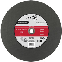 A24R PowerPlus Cut-Off Wheel, 12" x 1/8", 20 mm Arbor, Type 1, 6600 RPM Infinity Industrial Services Inc.