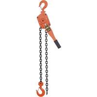 VLP Series Chain Hoists, 5' Lift, 6000 lbs. (3 tons) Capacity, Steel Chain Infinity Industrial Services Inc.