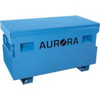 Jobsite Tool Box, 48" x 24" x 27-3/5", Steel, Blue Infinity Industrial Services Inc.