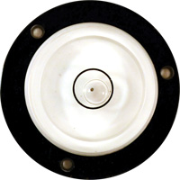 Niveau Bull's-Eye Infinity Industrial Services Inc.