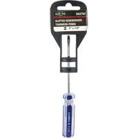 Blue Transparent Striped Slotted Screwdriver, 1/8" Tip, Round, Plastic Handle Infinity Industrial Services Inc.
