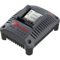 IQV20 Compact Battery Charger, 20 V, Lithium-Ion Infinity Industrial Services Inc.