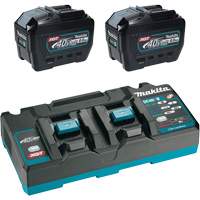 XGT Dual Port Rapid Charger Starter Kit with (2) 8 Ah Batteries, 40 V, Lithium-Ion Infinity Industrial Services Inc.