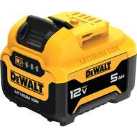 Bloc-pile MAX*, Lithium-ion, 12 V, 5 Ah Infinity Industrial Services Inc.