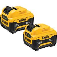 Bloc-piles Max*, Lithium-ion, 12 V, 5 Ah Infinity Industrial Services Inc.