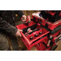 Diviseur pour boîtes &agrave; outils &agrave; tiroirs Packout Infinity Industrial Services Inc.