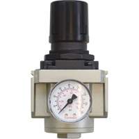AIRFLO 450 Aluminum Regulator, 3/4" NPT, 145 PSI Max. PSI, Modular Infinity Industrial Services Inc.