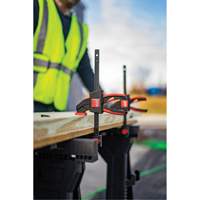 Medium Trigger Clamps Set, 12" (304.8 mm) Infinity Industrial Services Inc.