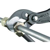 Pince Raptor, 10" Infinity Industrial Services Inc.