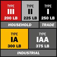 Step Ladder with Paint Tray, 10', Aluminum, 225 lbs. Capacity, Type 2 Infinity Industrial Services Inc.