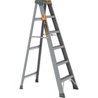 Step Ladder, 6', Fibreglass, 225 lbs. Capacity, Type 2 Infinity Industrial Services Inc.