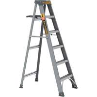 Step Ladder with Paint Tray, 6', Fibreglass, 225 lbs. Capacity, Type 2 Infinity Industrial Services Inc.