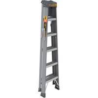 Step Ladder with Paint Tray, 6', Fibreglass, 225 lbs. Capacity, Type 2 Infinity Industrial Services Inc.
