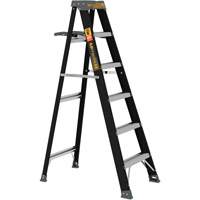 Step Ladder with Paint Tray, 6', Fibreglass, 250 lbs. Capacity, Type 1 Infinity Industrial Services Inc.