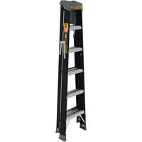 Step Ladder with Paint Tray, 6', Fibreglass, 250 lbs. Capacity, Type 1 Infinity Industrial Services Inc.