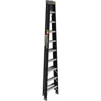 Step Ladder with Paint Tray, 10', Fibreglass, 250 lbs. Capacity, Type 1 Infinity Industrial Services Inc.