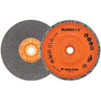Blendex U Finishing Cup Disc, 5" Dia., Fine Grit, Silicon Carbide Infinity Industrial Services Inc.