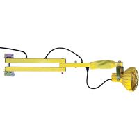 Lampes avec bras flexible pour quais, Ampoule Incandescente, Bras 60" Infinity Industrial Services Inc.