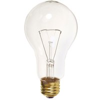 Economy Line Incandescent Lamps Infinity Industrial Services Inc.