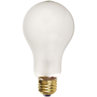 Economy Line Incandescent Lamps Infinity Industrial Services Inc.