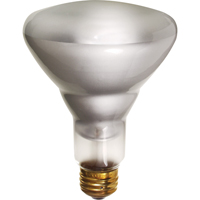 Economy Line Incandescent Lamps Infinity Industrial Services Inc.
