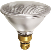 Halogen Bulbs