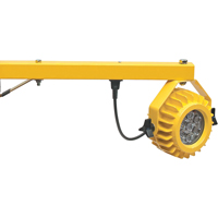 Heavy-Duty Loading Dock Lights, 24" Arm, 300 W, LED Lamp, Metal Infinity Industrial Services Inc.