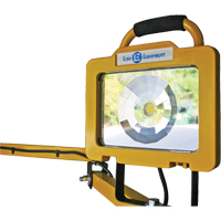 Heavy-Duty Dock Light, 40" Arm, 38 W, LED Lamp, Metal Infinity Industrial Services Inc.