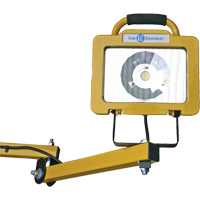 Heavy-Duty Dock Light, 40" Arm, 38 W, LED Lamp, Metal Infinity Industrial Services Inc.