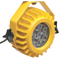 Lampe robuste DEL pour les quais - t&ecirc;te seulement Infinity Industrial Services Inc.