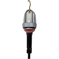 Baladeuses pour emplacements dangereux, DEL, 20 W, 2400 Lumens Infinity Industrial Services Inc.