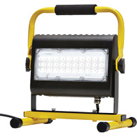 Flood Light, LED, 50 W, 4800 Lumens, Aluminum Housing Infinity Industrial Services Inc.