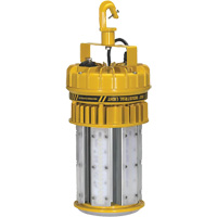 ProLight 360° Industrial Light Kit, LED, 120 W, 15000 Lumens, Plastic Housing Infinity Industrial Services Inc.