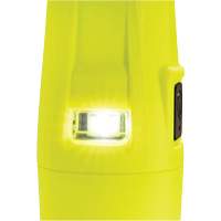 Lampe de poche VLO, DEL, 280 lumens, Piles AA Infinity Industrial Services Inc.