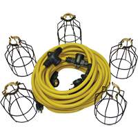 LED String Lights with Connector, 5 Lights, 50' L, Metal Housing Infinity Industrial Services Inc.