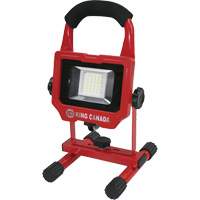 Baladeuse, DEL, 15 W, 1500 lumens, Boîtier en Aluminium Infinity Industrial Services Inc.