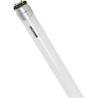 SubstiTUBE&reg; Frosted Glass LED Bulb, 12 W, T8, 5000 K, 48" L Infinity Industrial Services Inc.