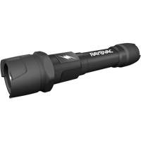 Lampe de poche pratiquement indestructible, DEL, 350 lumens, Piles AA Infinity Industrial Services Inc.