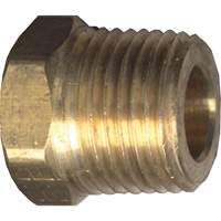 Hex Head Cored Plug, Pipe, 1/8" Dia., Brass Infinity Industrial Services Inc.