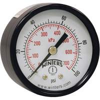 Economy Pressure Gauge, 2" , 0 - 160 psi, Back Mount, Analogue Infinity Industrial Services Inc.