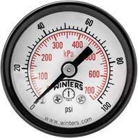 Economy Pressure Gauge, 1-1/2" , 0 - 100 psi, Back Mount, Analogue Infinity Industrial Services Inc.